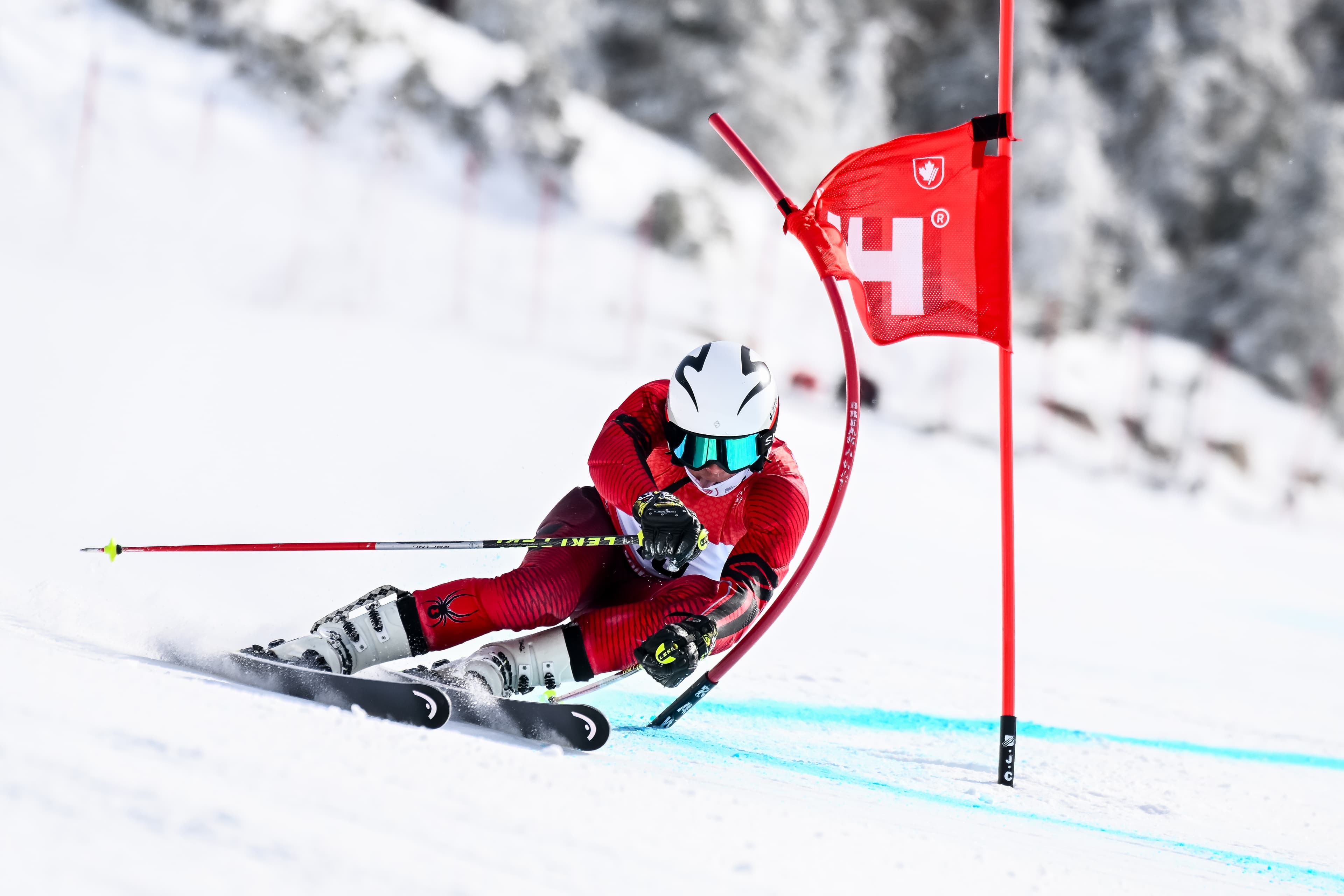 FIS Alpine Ski Racing